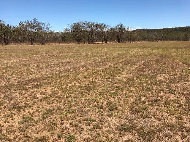 Huge terrain for sale in Guardia close to the International Airport of Liberia - Gallery image 33