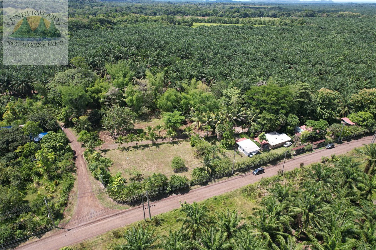 Perla Tropical Rio Seco: Great Opportunity for Sale with reduced price - Gallery image 27