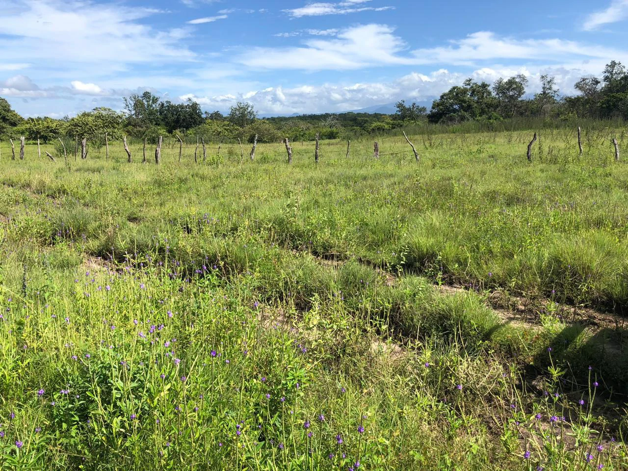 Great investment opportunity, property adjacent to Liberia Airport - Gallery image 9