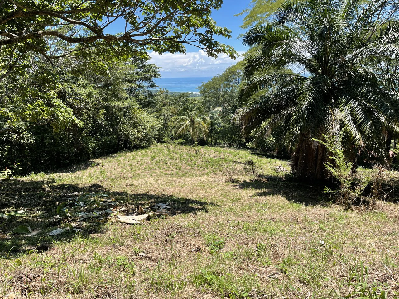 5.4 ACRES – Amazing Ocean View Acreage With Multiple Building Sites And Legal Water!!! - Gallery image 7