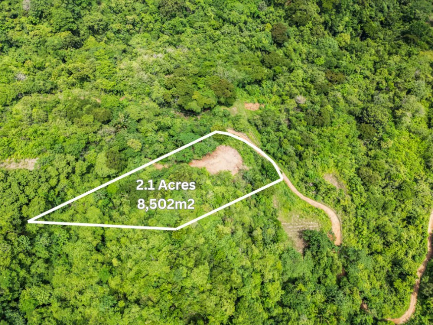 Lote Vista Lapa - 2.1 Acre Ocean View Lot: Countryside Home Construction Site For Sale in Playa Samara - Gallery image 2