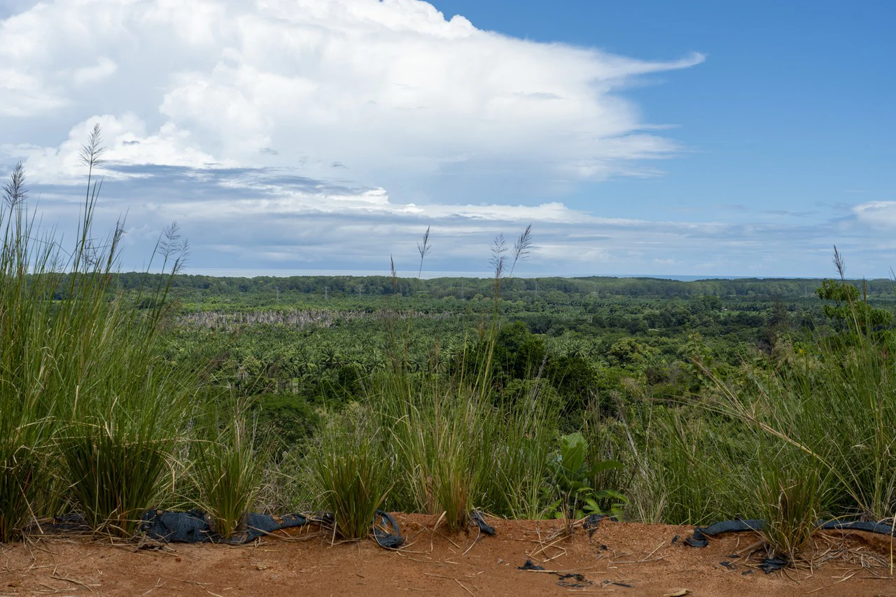 New Gated Development in Matapalo - Ocean View and Flat Land, ready to build! - Gallery image 18