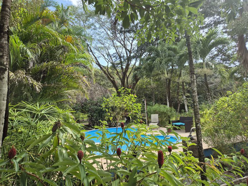 Casas Jungle: Charming Rental Compound with 5 units & pool in the heart of nature, minutes from Samara’s beaches - Gallery image 16