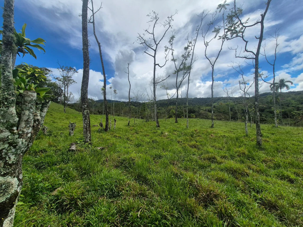 Countryside Agricultural Land For Sale in Centro de Pérez Zeledón - Gallery image 14