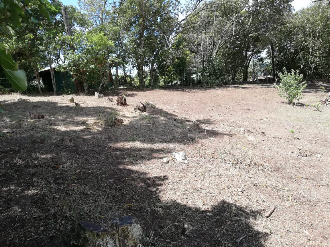 Monteverde Acosta: Countryside and Mountain Home Construction Site For Sale in Santa Elena - Gallery image 2