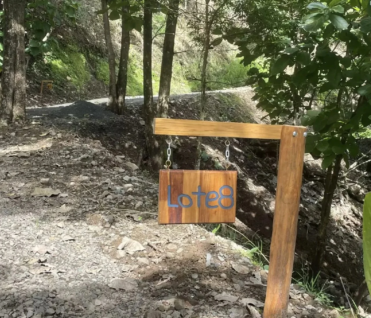 Lot 3: Ocean View Lots for Sale in Sunset Hills, Paquera, Costa Rica - Gallery image 6