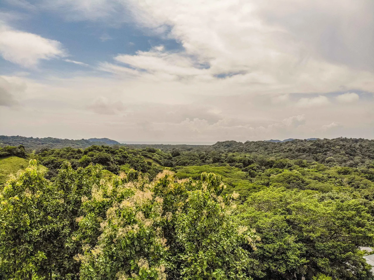 Finca del Cusuco: Hills of Buena Vista - Gallery image 7