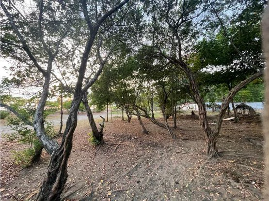 Jaco Luxury Ocean Front Lot - Gallery image 12
