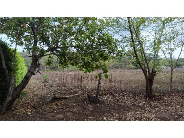 Amazing building property for sale 5 minutes away from Liberia center and 2 minutes walking to the Colorado River - Gallery image 9