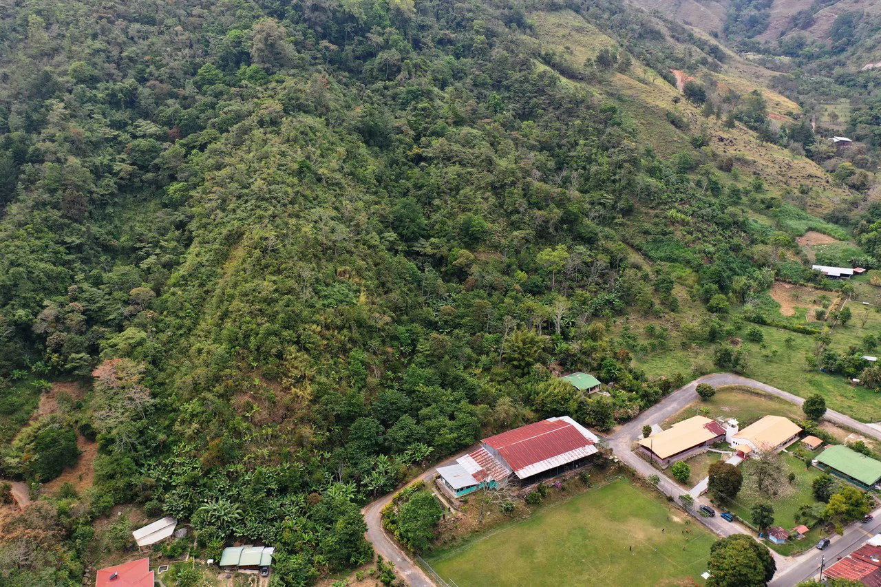 Canaan de Rivas 10 acres Above San Isidro - Gallery image 7
