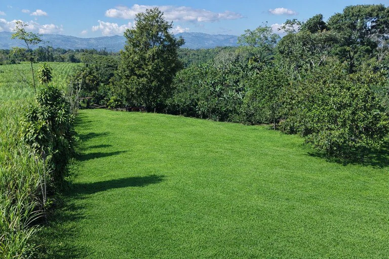 Countryside Home Construction Site For Sale in Santa Elena - Gallery image 5