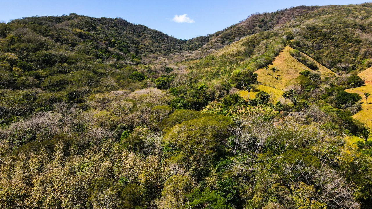Ocean View Farm for Sale Guanacaste Costa Rica - Gallery image 4
