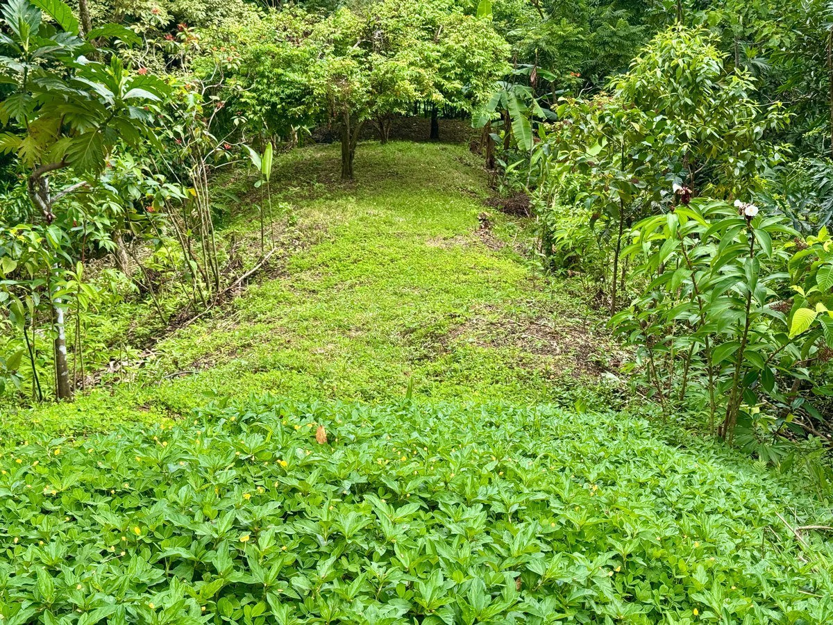 12.25 ACRES – 3 Bedroom 2 Story Ocean View Home 10 Min To The Beach!!! - photo 30