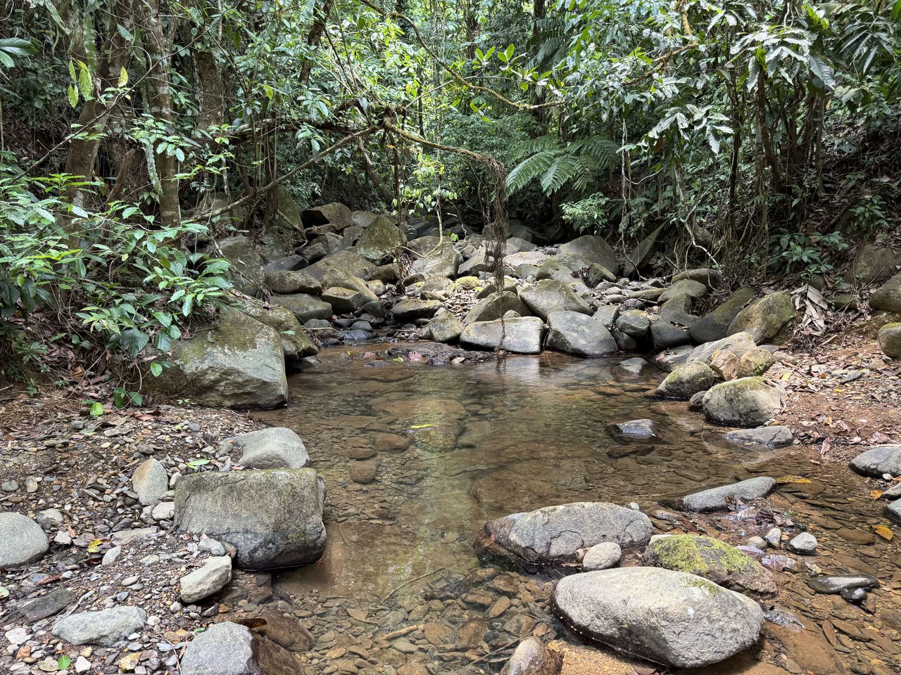 50 Acre Waterfall and River Paradise Above Dominical - Gallery image 45