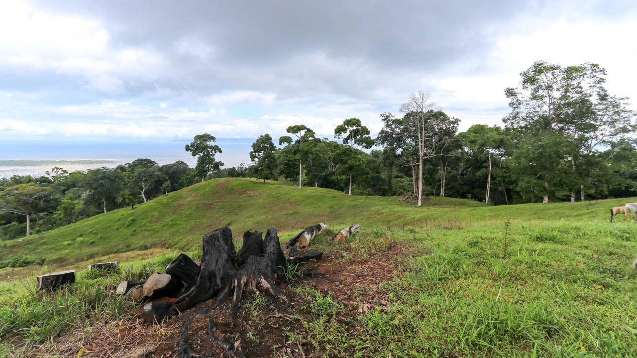 Unique Development Property Overlooking the Pristine Golfito Bay and Golfo Dulce - Gallery image 18