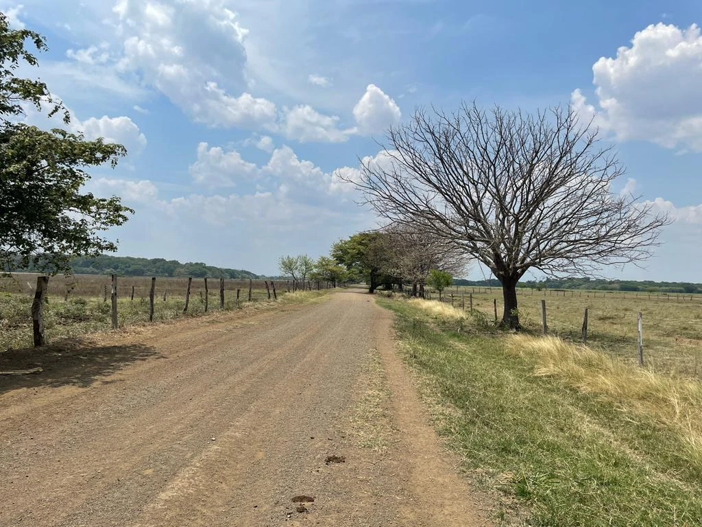 Farm for Sale to Develop Guanacaste Costa Rica - Gallery image 3