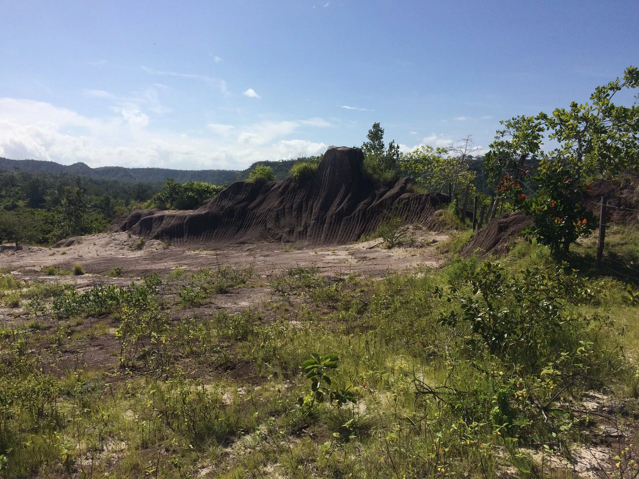 Finca de 31 hectáreas en Liberia: Great investment opportunity - Gallery image 12