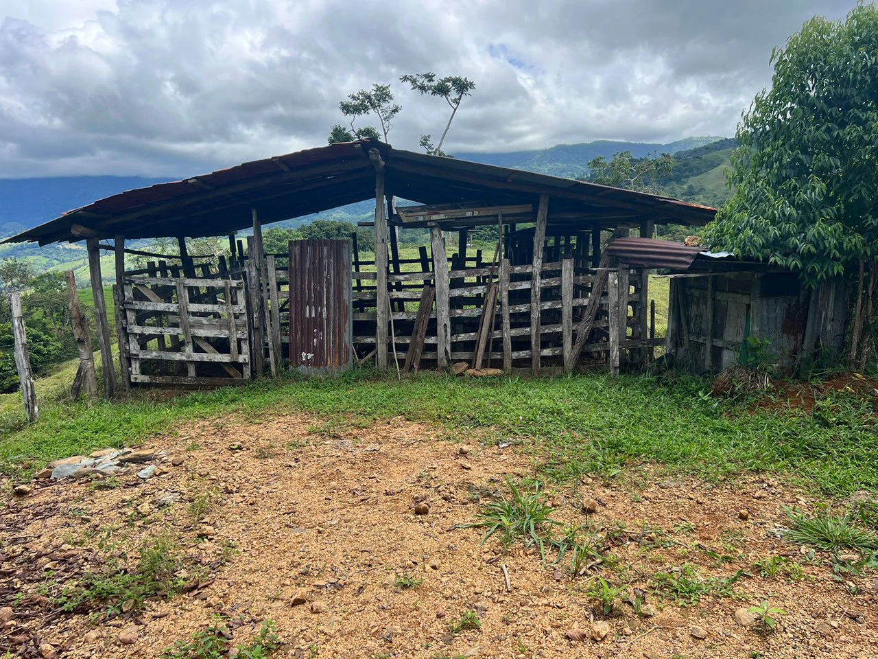 47 ACRES – Beautiful Mountain View Farm With Many Water Sources and Many Building Areas!!!! - Gallery image 15