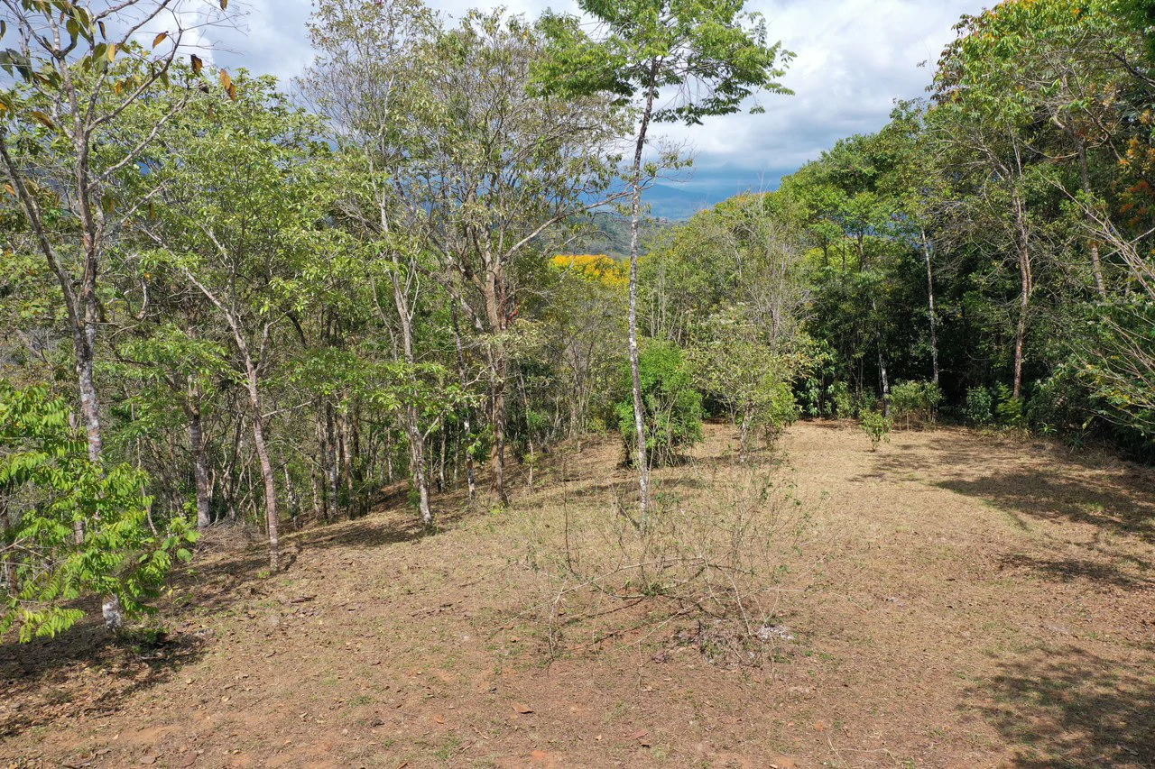 Elevated Two and a Half Acres with Cool Breeze in San Isidro del General - Gallery image 6