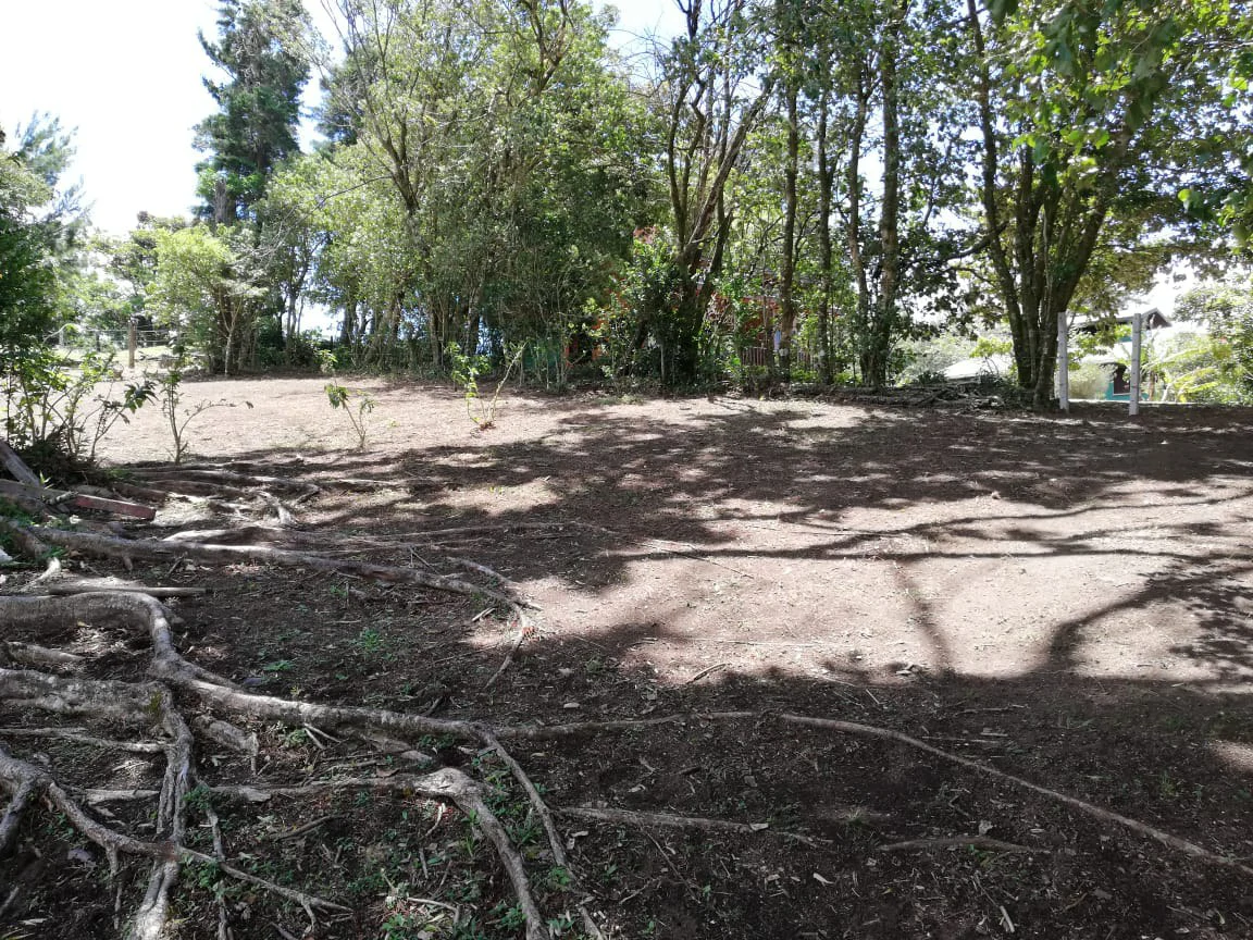 Monteverde Acosta: Countryside and Mountain Home Construction Site For Sale in Santa Elena - Gallery image 7