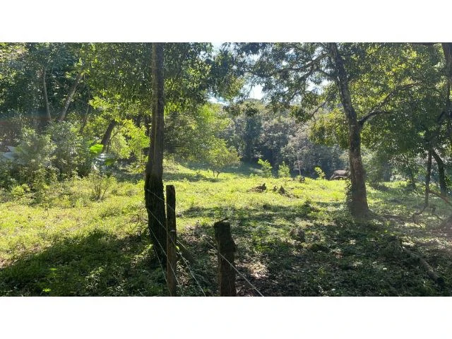 Nature Paradise Farm for sale in the mountains of Quebrada Grande, Building potential property 30 minutes away from Liberia - Gallery image 3
