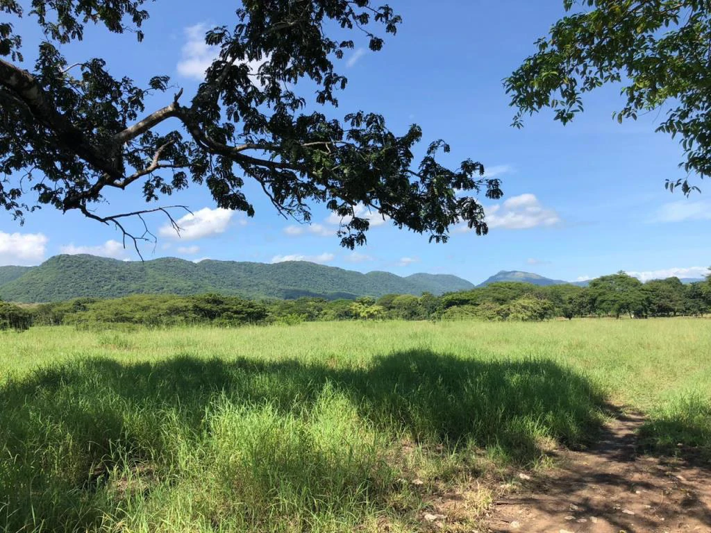 Huge dream Cattle farm for sale with 2 houses close to the Gulf of Nicoya, Guanacaste, Costa Rica - Gallery image 29