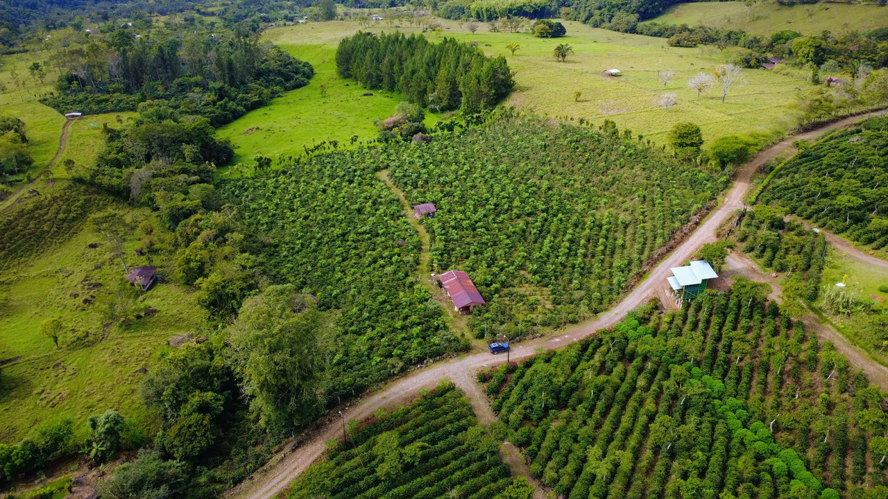 Countryside Agricultural Land For Sale in Santa Elena de San Isidro - Gallery image 22