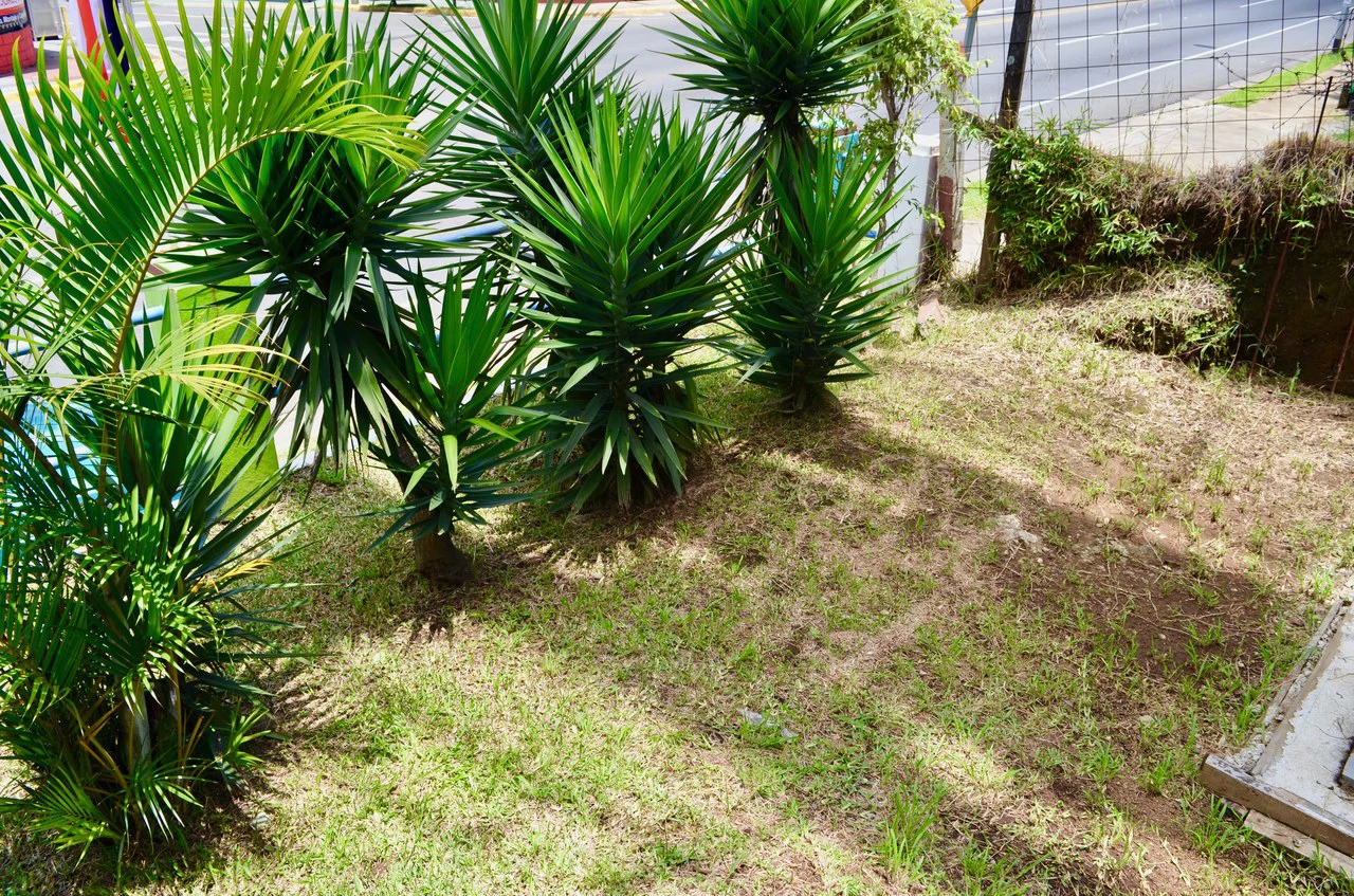 COMERCIAL LOT FOR SALE IN HEREDIA SAN FRANCISCO - Gallery image 9