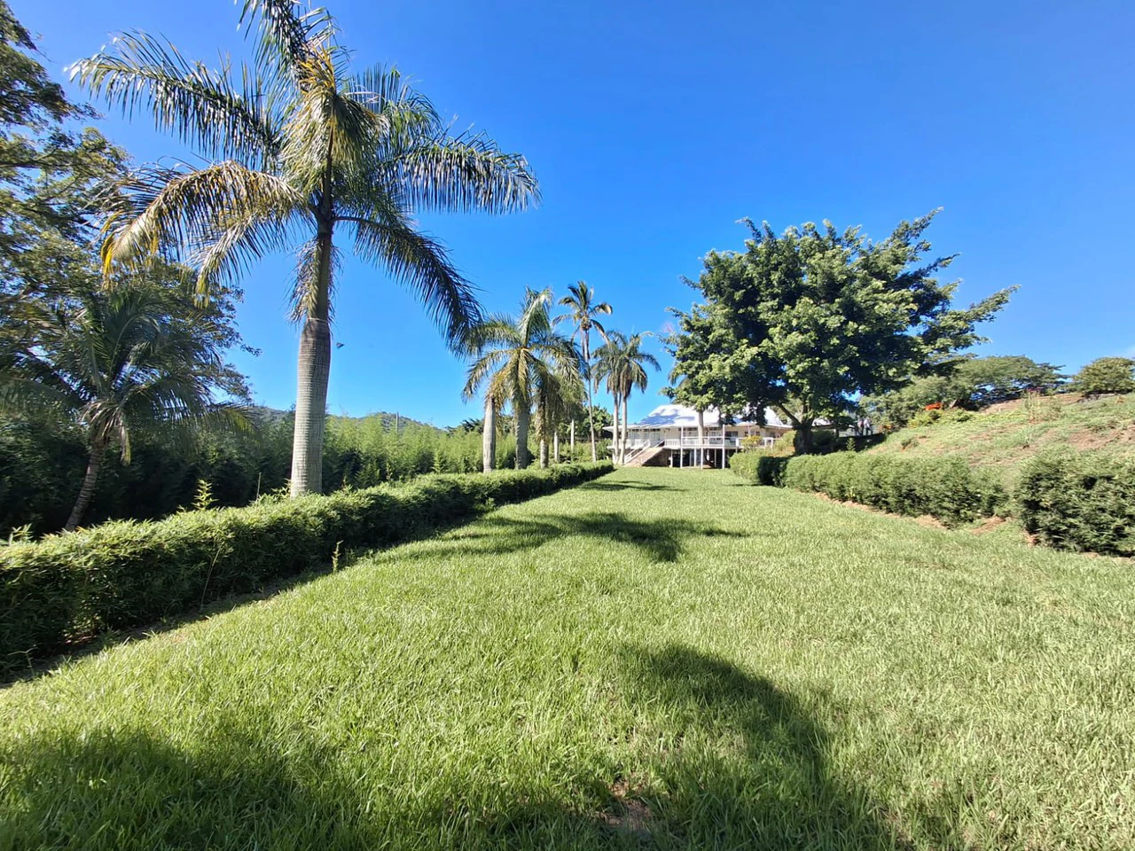 Historic Hilltop Sanctuary: ´Jurassic Park-like´ Development property! - Gallery image 15