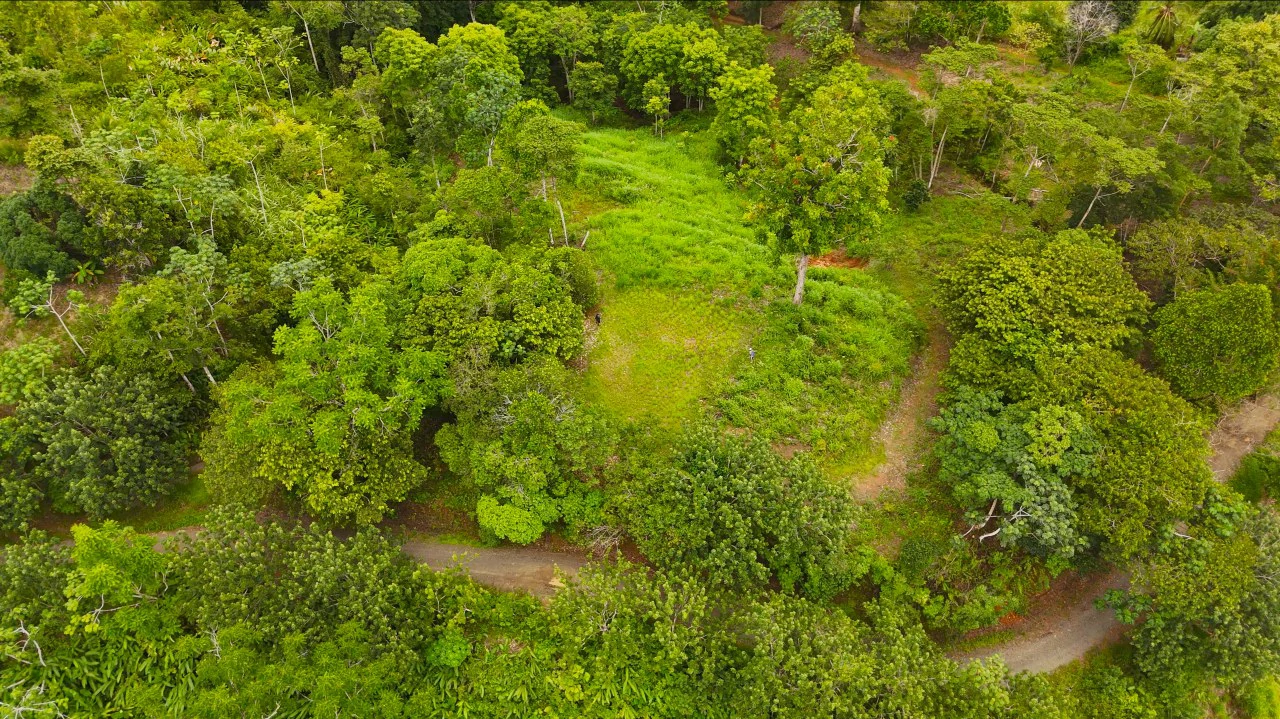 GULF VIEW PROPERTY IN PUERTO JIMENEZ, COSTA RICA - Gallery image 17