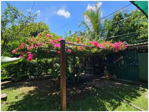 ID 4223:: 3-Bedroom Home for Sale in Paquera, Costa Rica