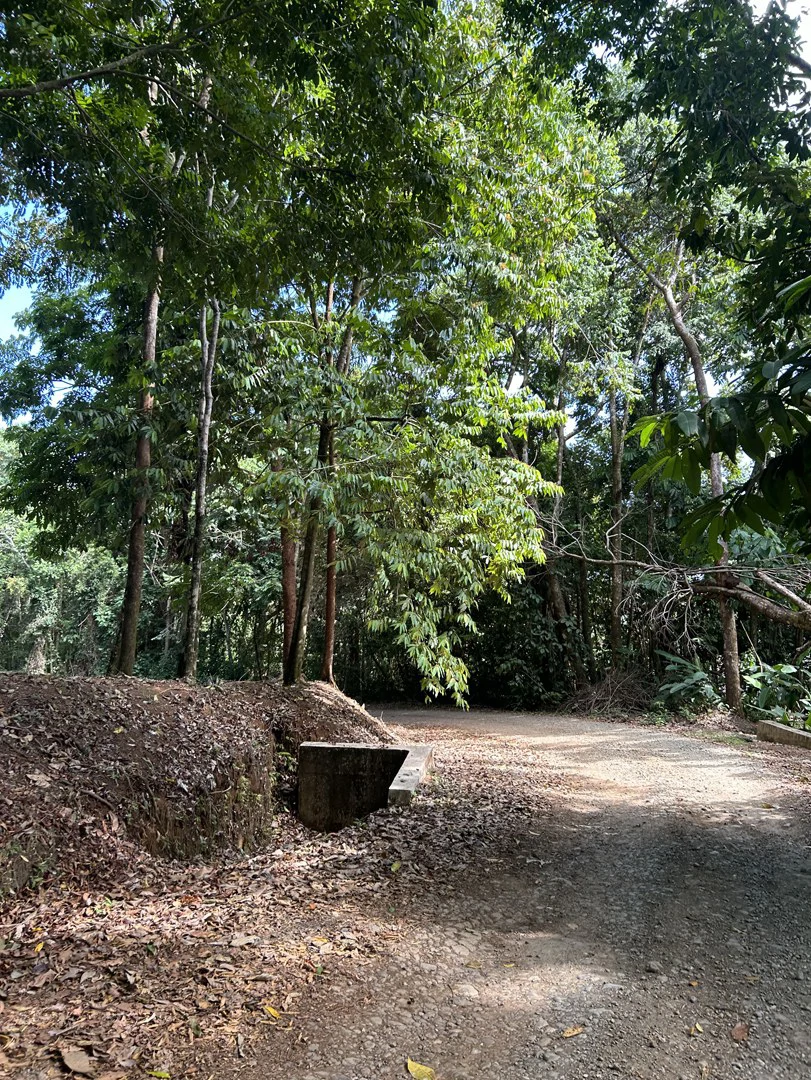 Cabo Matapalo: Jungle View Lot Priced To Sell! - Gallery image 39