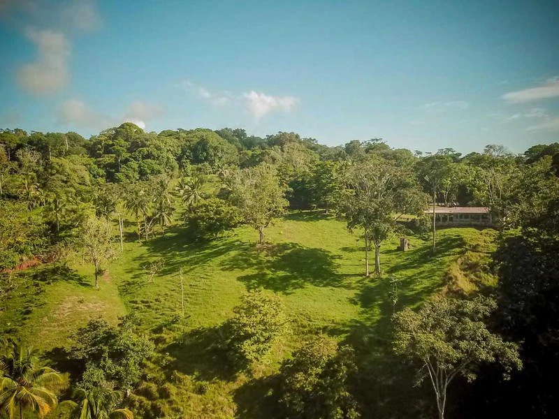 Bahía Chal Gulf View Close to Puerto Jimenez - Gallery image 8