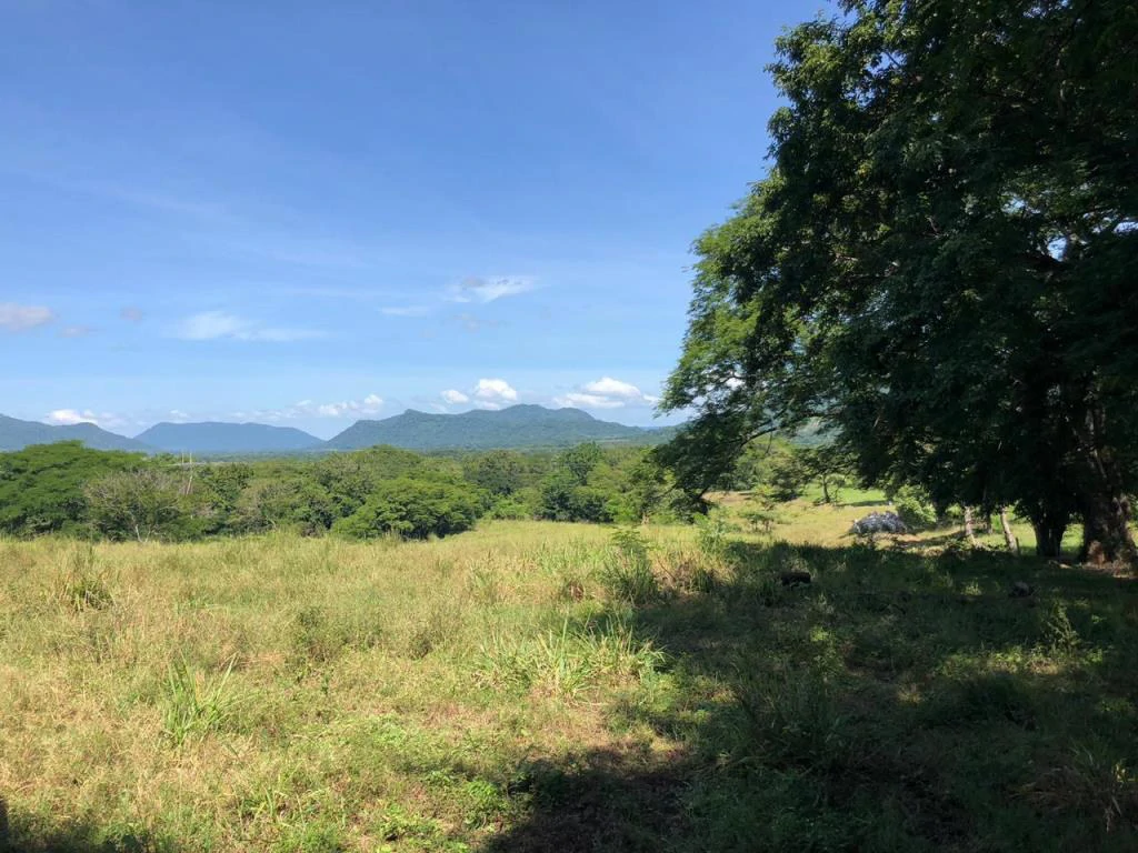 Huge dream Cattle farm for sale with 2 houses close to the Gulf of Nicoya, Guanacaste, Costa Rica - Gallery image 40