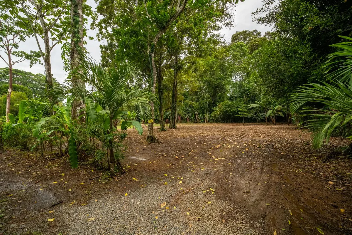 ID 1150: 3000 sqm Titled Land Near Cahuita National Park, Costa Rica - photo 10