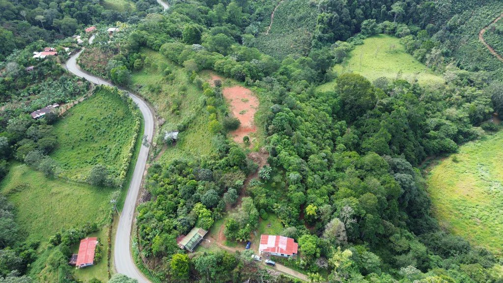 Mountain and Countryside Agricultural Land For Sale in Platanares - photo 12