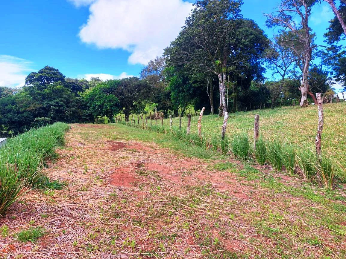 LA CABAÑA - COUNTRY ESTATE WITH HUGE POTENTIAL - Gallery image 19