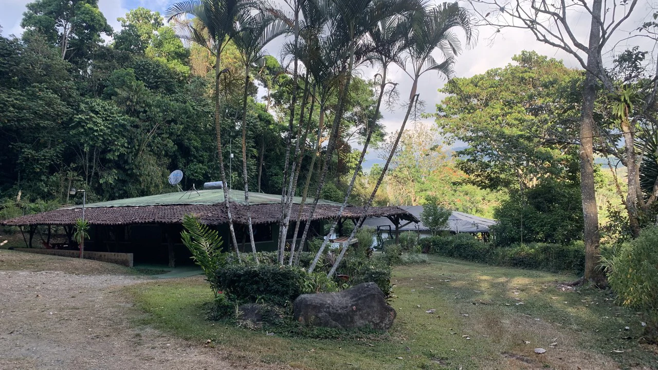 Talari Hotel: Nature and Bird Lover's Paradise - Mountain Lodge - Gallery image 17