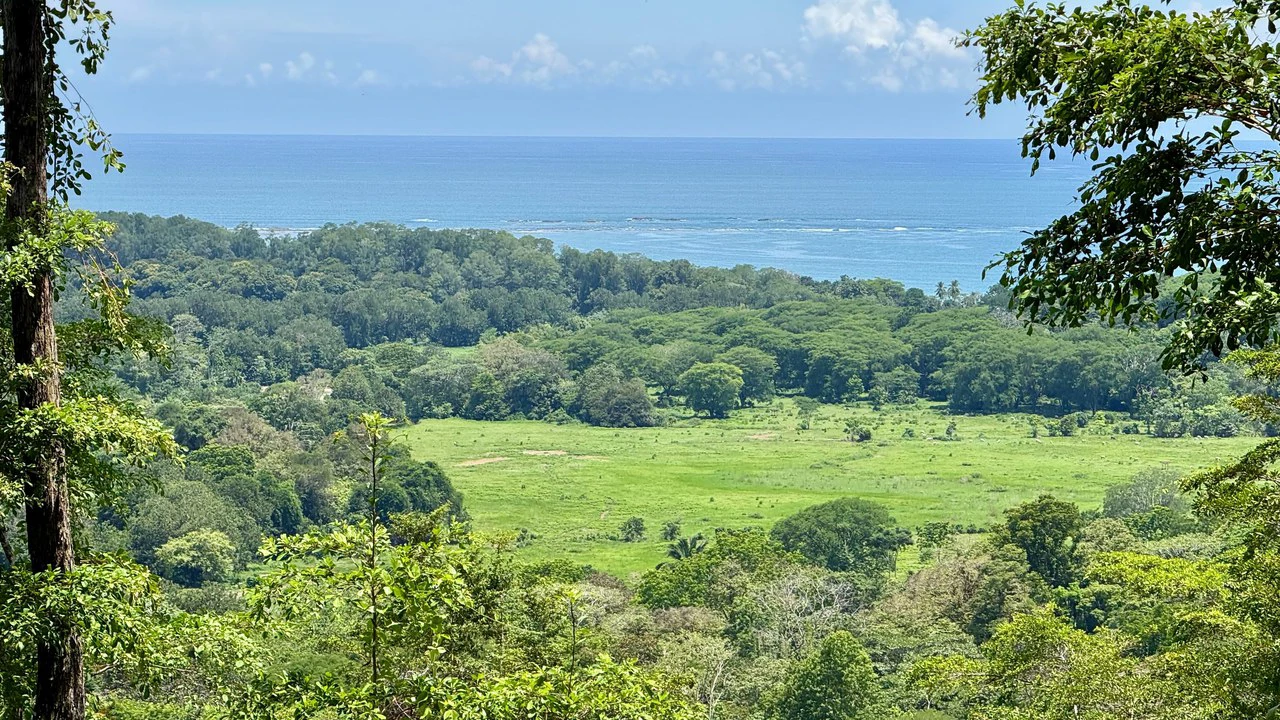Exclusive and Unique Ocean Views lot in the Hills of Uvita! - Gallery image 8