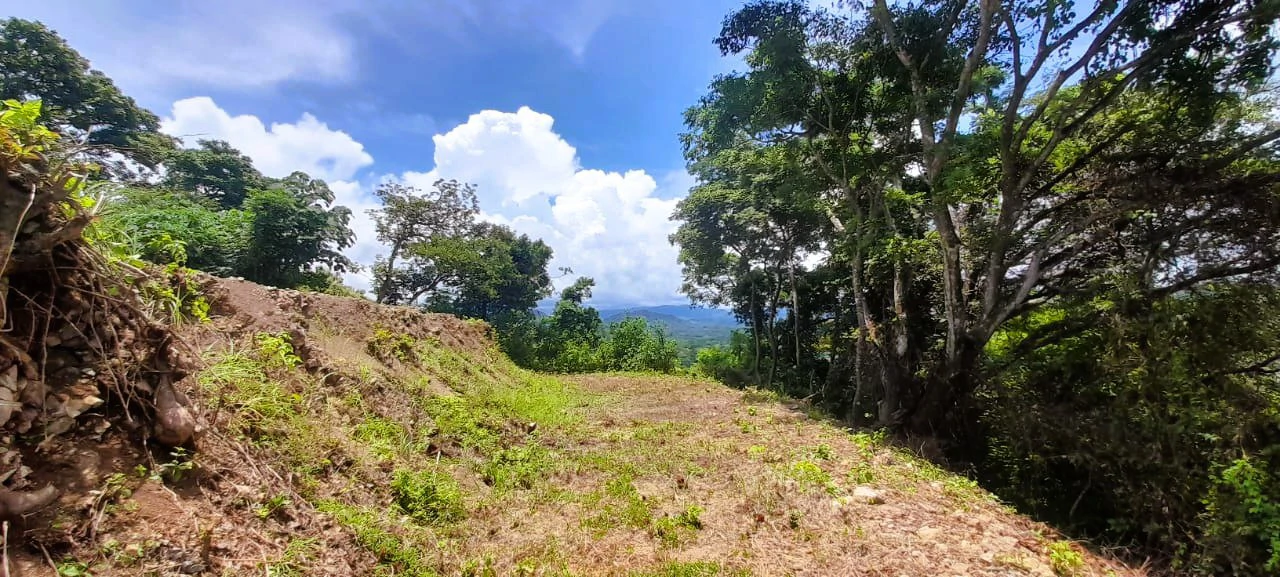 Buena Vista Ocean View Lot: Countryside and Mountain Home Construction Site For Sale in Buena Vista - Gallery image 6