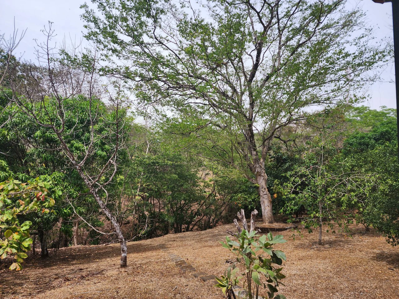 Countryside and Mountain Home Construction Site For Sale in San Juan de Mata - Gallery image 11