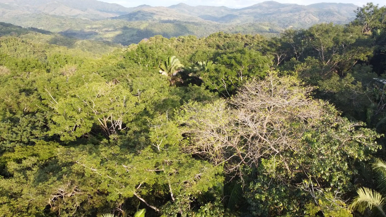 Gated Community Jungle View Lot: Near the Coast Home Construction Site For Sale in Sámara - Gallery image 9