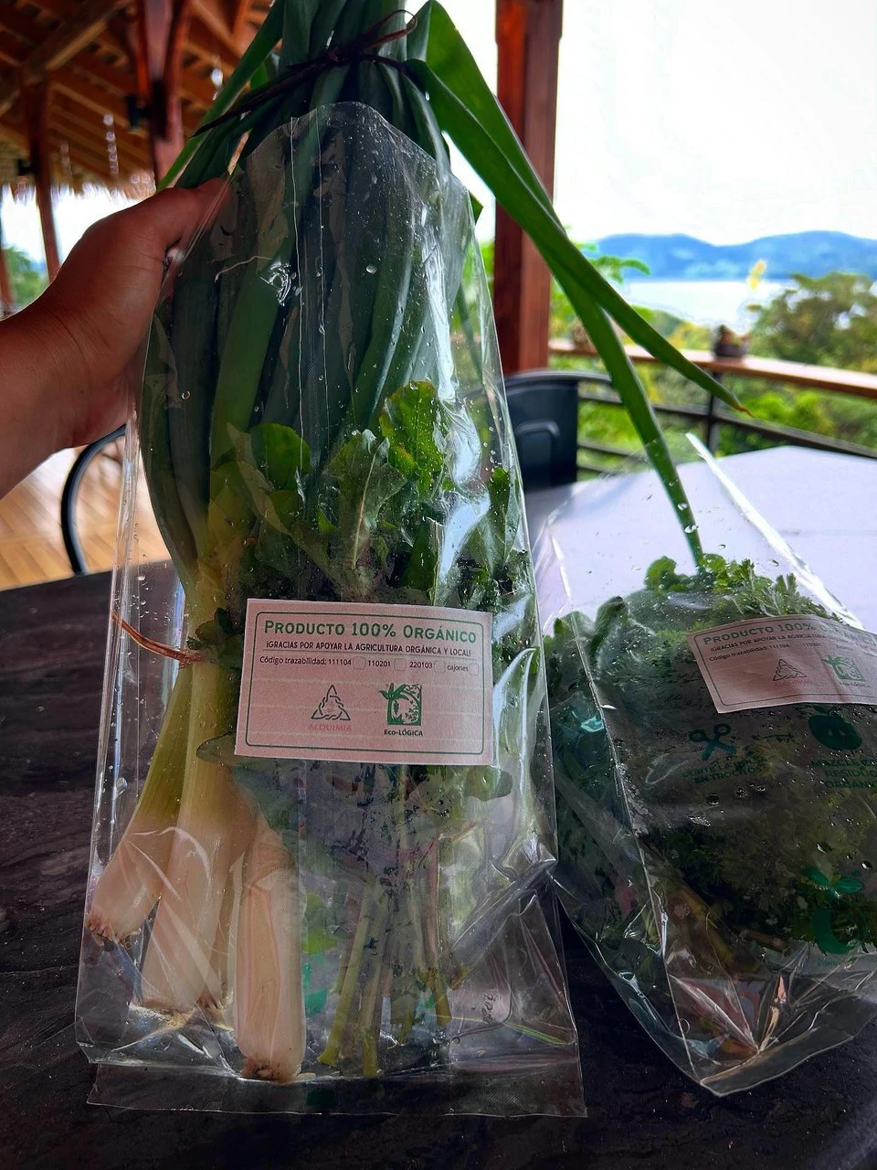 NATURES BOUNTY - Certified Organic Farm - Gallery image 32