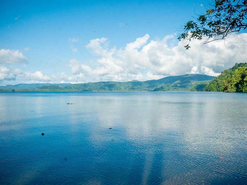 Bahía Chal Gulf View Close to Puerto Jimenez - Gallery image 18