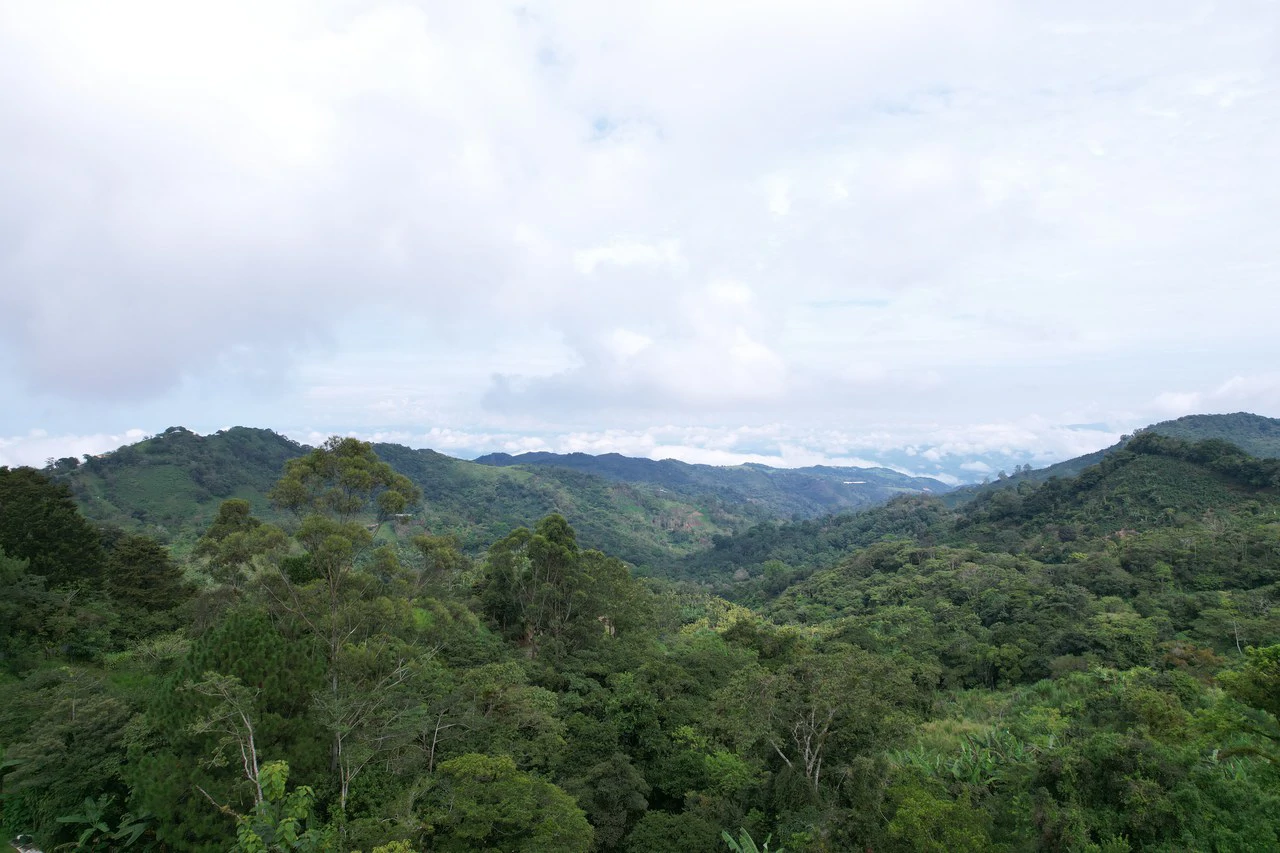 Property for Sale in Berlin de San Ramón, Costa Rica - Gallery image 4