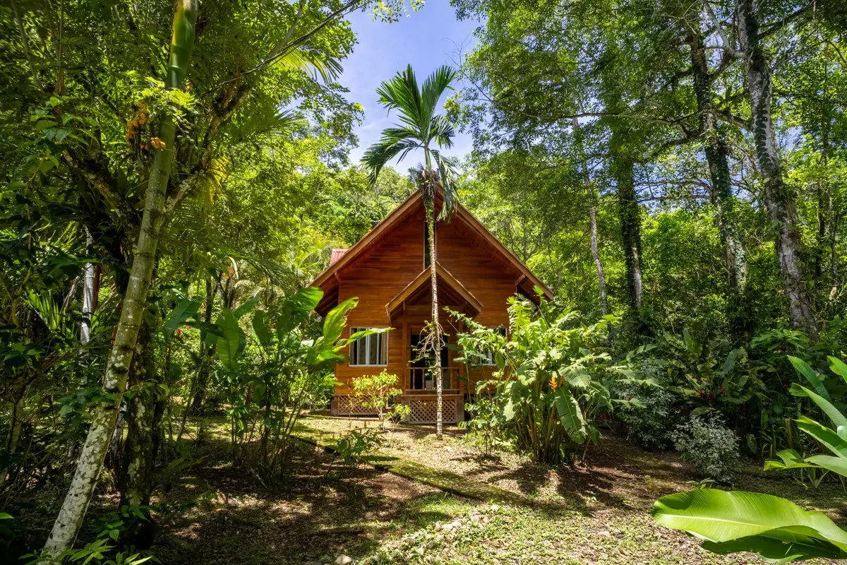 ID 26: 2 BD/2 BA Private Jungle Chalet in a Gated Community Near Hone Creek - Gallery image 26