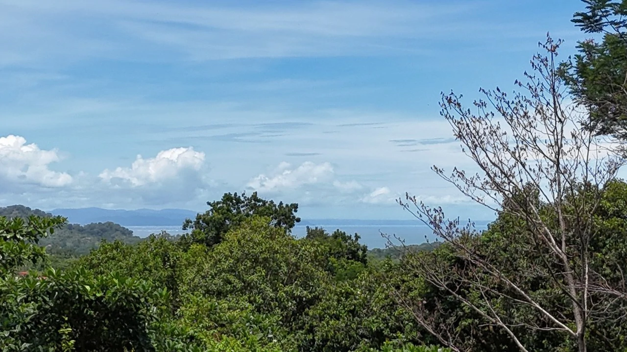 Exquisite Jungle property with Ocean View | Gated Community in Ojochal 3 - Gallery image 2