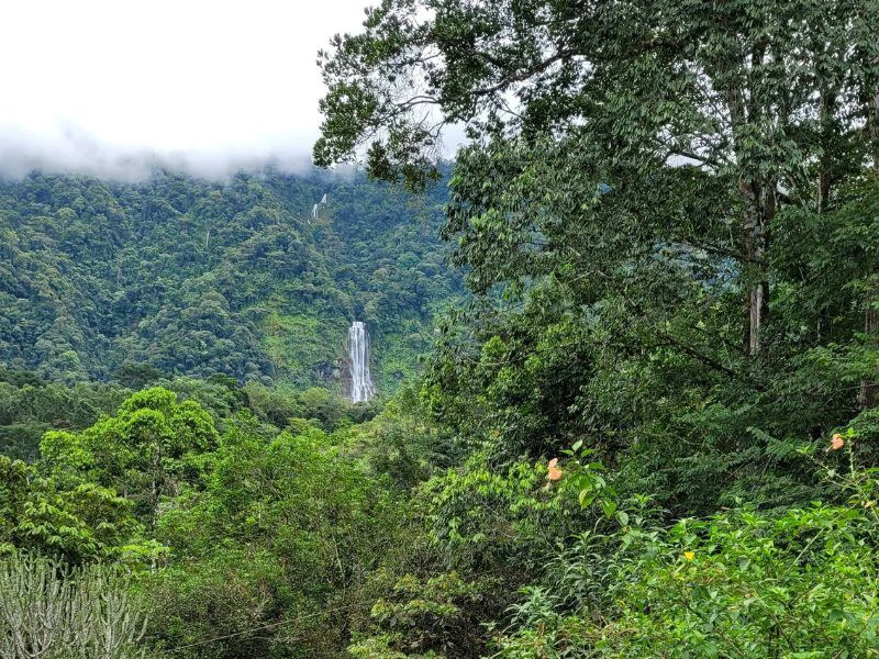 Tropical Paradise with Breathtaking Diamate Waterfall Views