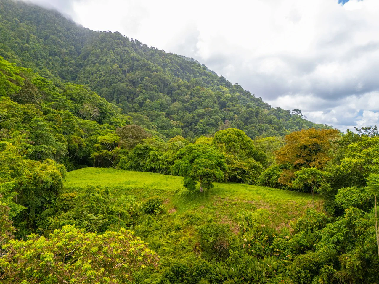Tropical Paradise in Cascada Sándalo, Tres Ríos Ocean & Mountain Views | Gated Community | Abundant Nature - Gallery image 4