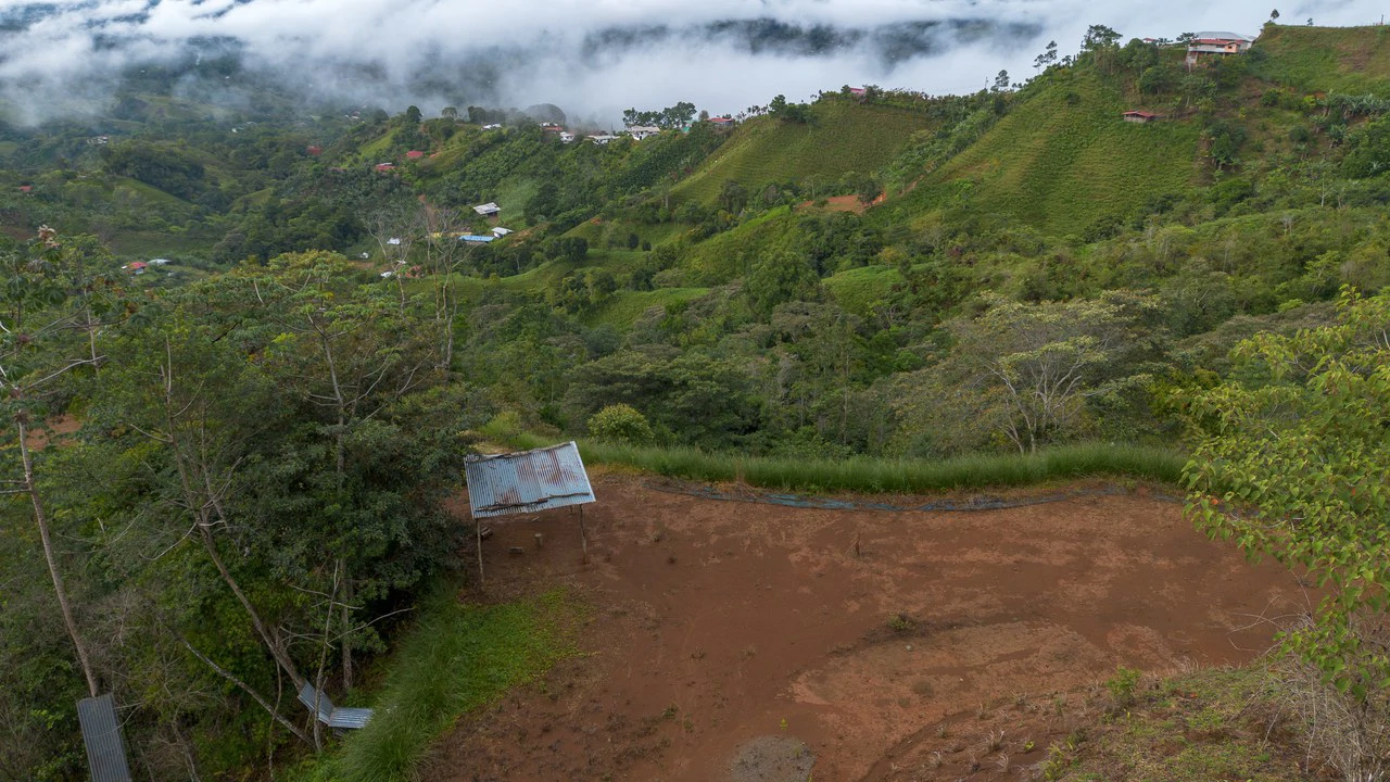 10.21 Acres with Views & Plantels – Pérez Zeledón - Gallery image 16